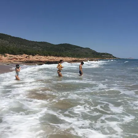 Bertur Europeniscola *